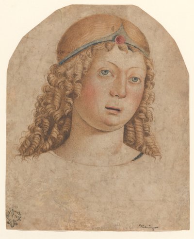 Cabeza de un joven con diadema, finales del siglo XV-principios del siglo XVI de Cristoforo Caselli