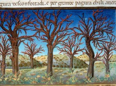 El fin del mundo: los árboles serán cubiertos de sangre (c.147v). 1476 de Cristoforo De Predis