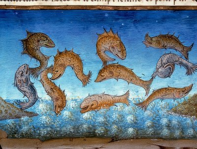 El fin del mundo: los peces nadarán arriba (c.147r). 1476 de Cristoforo De Predis