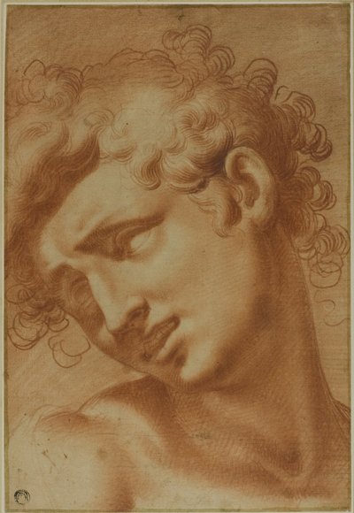Cabeza de un joven de Cristoforo Roncalli