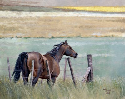 Sueños de libertad, 2010 de Cruz Jurado Traverso