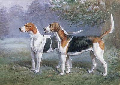Una perra y un perro sabueso en un paisaje de Cuthbert Bradley
