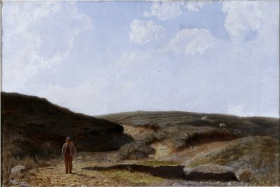 Plas Mawr de Cuthbert Cartwright Grundy