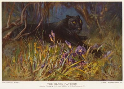 La Pantera Negra (litografia en color) de Cuthbert Edmund Swan