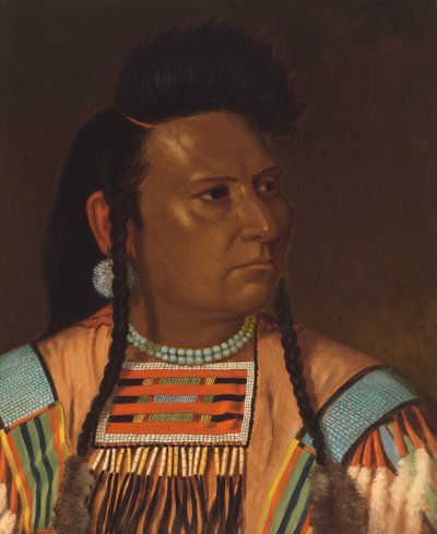 Jefe Joseph, junio 1878 de Cyrenius Hall