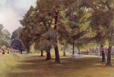 Árboles en el césped de Marlborough House (litografia en color) de Cyril Ward