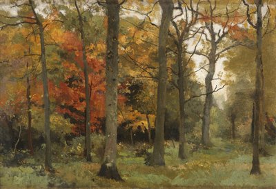 Hojas de Otoño de Cyrus Johnson