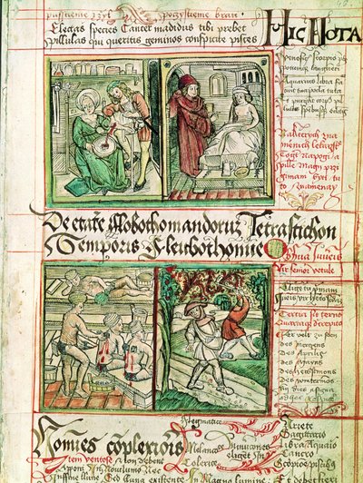 Cómo curar enfermedades, de Tractatus de Pestilencia de Czech School