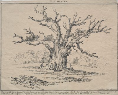 Roble de Fairlop de D. H. Redman