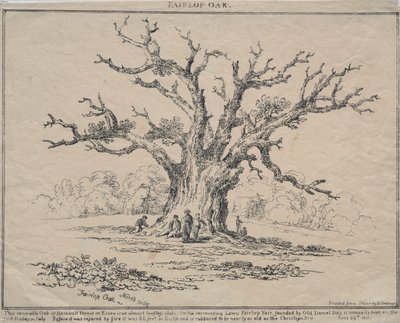 Fairlop Oak de D. H. Redman
