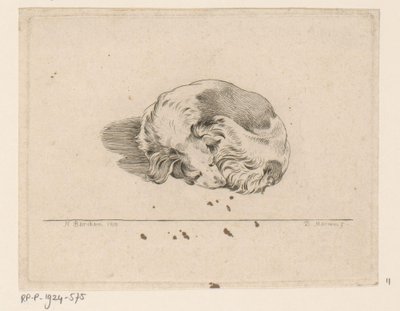 Perro dormido de D. Merrem