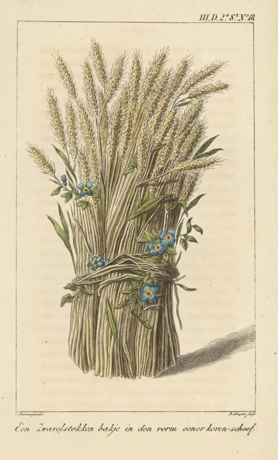 Tazón en forma de hoja de maíz de D. Sluyter