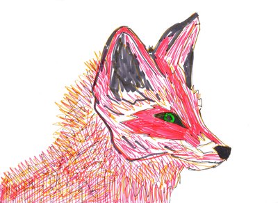 Zorro (rotulador sobre papel) de Daisy de Villeneuve