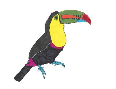 Tucán, 2024 (bolígrafo sobre papel con photoshop) de Daisy de Villeneuve
