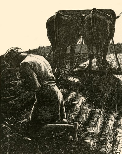 El Tesoro Escondido, 1864, 1928 de Dalziel Brothers