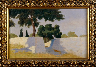 Paisaje con paredes blancas de Damaso Bianchi