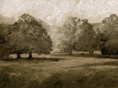 Los terrenos del castillo de Dan Hobday