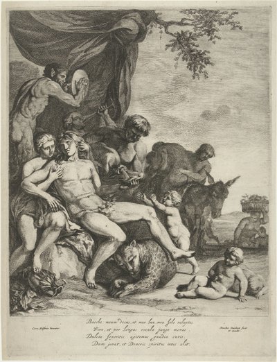 cordón umbilical de Dancker Danckerts