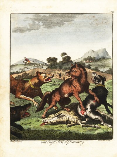Caza del lobo inglés. 1792 (grabado) de Daniel (after) Dodd
