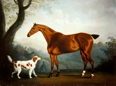 Cazador de bahía y spaniel en un paisaje boscoso de Daniel Clowes