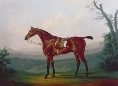 Retrato de un caballo de carreras de Daniel Clowes