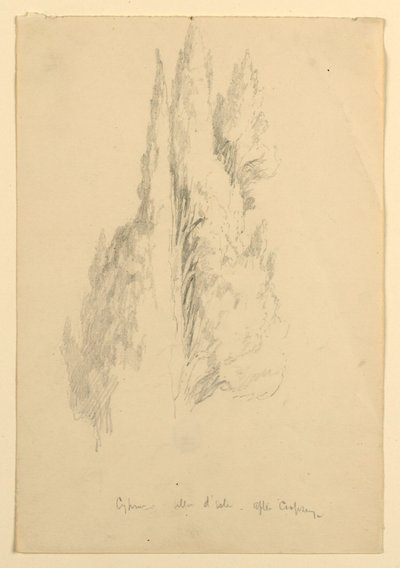 Ciprés, Villa d