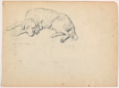 Dibujo, Dash (un Setter), ca. 1862 de Daniel Huntington