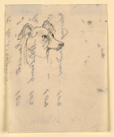 Dibujo, Cabeza de perro, probablemente Milo (un Pointer), ca. 1862 de Daniel Huntington