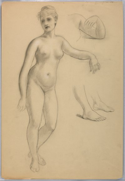 Dibujo, Mujer desnuda de pie, Sep, 1860-70 de Daniel Huntington