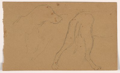 Dibujo, Milo (un Pointer), Cabeza y Cuerpo, ca. 1862 de Daniel Huntington