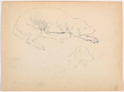 Dibujo, Milo (un Pointer), Dos Estudios, ca. 1862 de Daniel Huntington