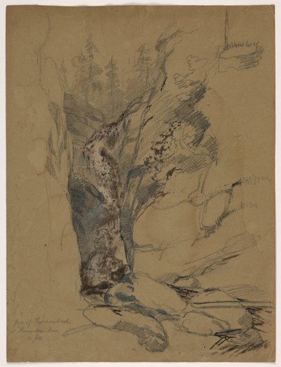 Caída de Reichenbach de Daniel Huntington
