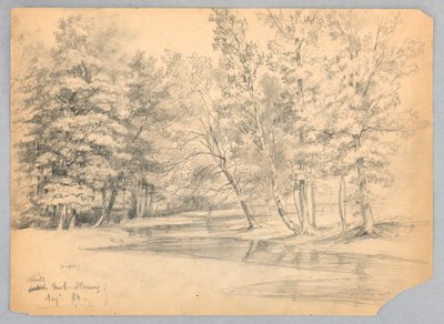 Mill Brook, North Conway, New Hampshire de Daniel Huntington