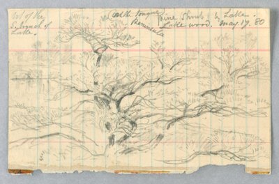 Arbusto de pino junto al lago, Lakewood de Daniel Huntington
