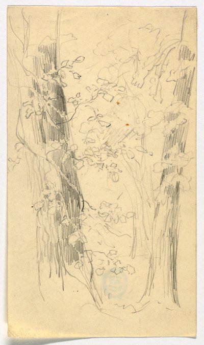 Boceto de árboles de Daniel Huntington