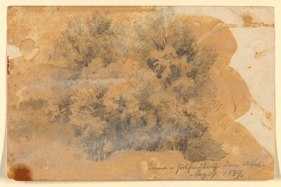 Estudio de árboles, Ginebra de Daniel Huntington