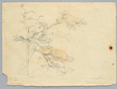 Estudio de dos pinos, montañas Catskill de Daniel Huntington