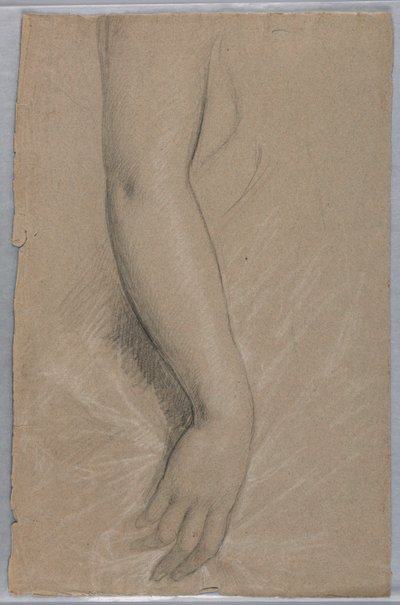 Estudio de un Brazo para el Retrato de la Sra. Rutherford B. Hayes de Daniel Huntington