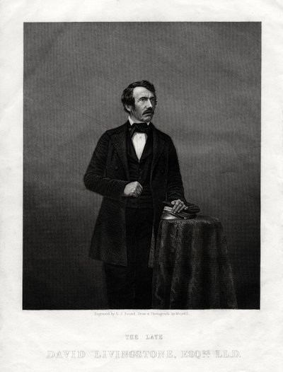 David Livingstone, misionero escocés y explorador africano de Daniel John Pound