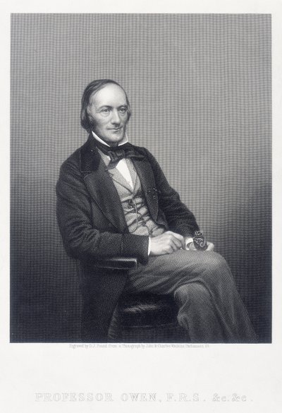 Sir Richard Owen, zoólogo inglés, c1860 de Daniel John Pound