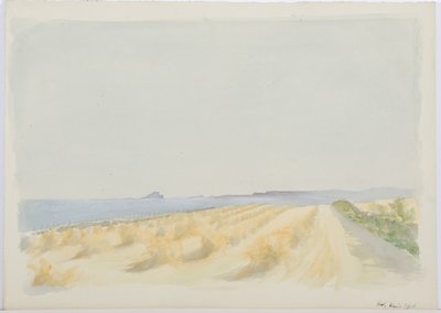 Isla Santa, 1894 de Daniel Oliver