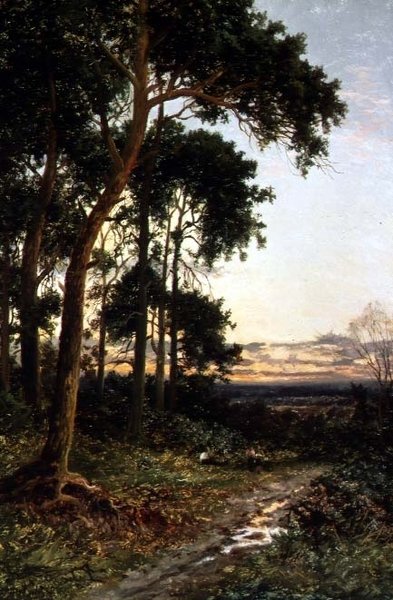 El sendero del bosque de Daniel Sherrin