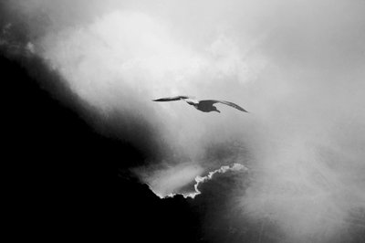  de Daniela Riegler