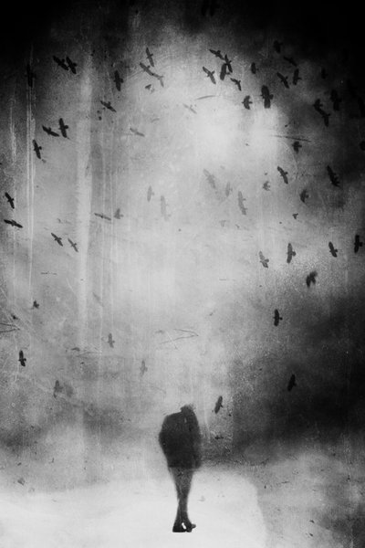  de Daniela Riegler