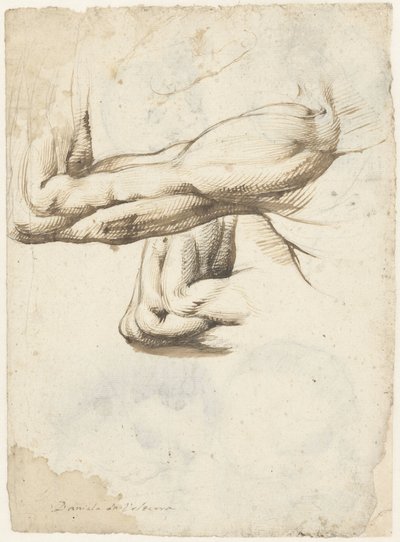 Dos brazos y una mano de Daniele da Volterra
