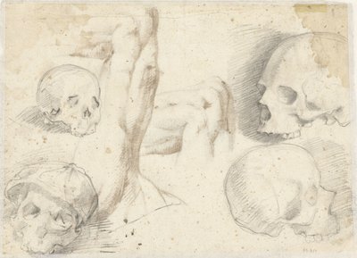 Cuatro estudios de un cráneo de Daniele da Volterra