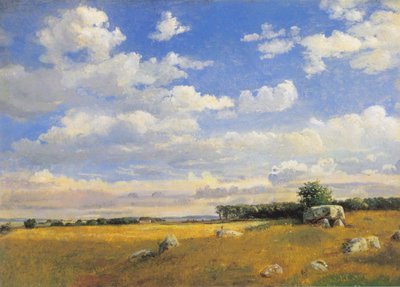 Dolmen en Brandsø de Dankvart Dreyer