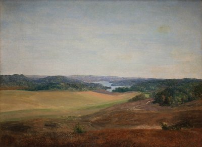 Paisaje cerca de Silkeborg, Jutlandia de Dankvart Dreyer