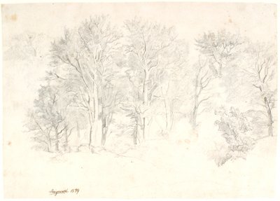 Estudio de Árboles de Dankvart Dreyer