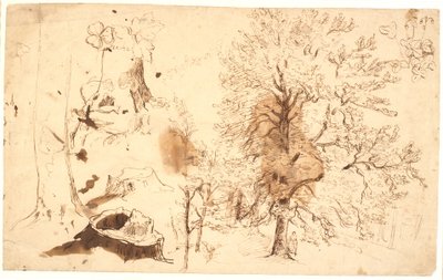 Estudio con árboles, plantas y tocones de Dankvart Dreyer